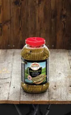 Golden Beard Salamura Asma Yaprağı 5000 cc