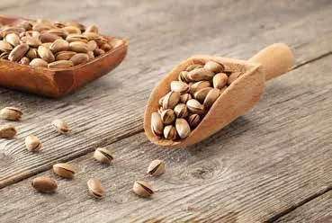 Egeland antep fıstığı